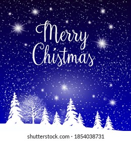 Christmas and New Year background with winter snowflakes landscape. Star night view. Typography vector design for greeting cards.