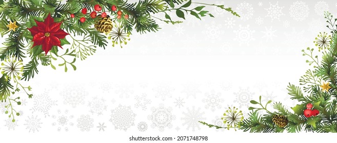 Christmas, New Year banner or background with corner decor. Winter holidays background with fir branches, poinsettia flower, berries and cones. Vector illustration.