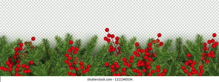 Christmas and New Year border of realistic branches of Christmas tree and holly berries Element for festive design isolated on transparent background Vector illustration