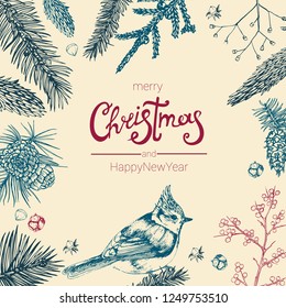 Christmas and new year card, hand drawing, vector, fir branches, cones, berries, bullfinch, berries, gift, Holi