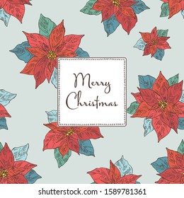 Christmas and New Year card with poinsettia flower. Vector hand drawn illustration.