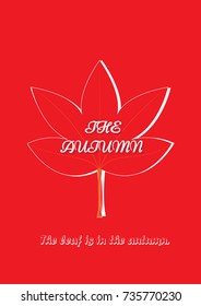 The Christmas and New year card. The red sweet gum leaves is in the autumn. It is vector illustration for card. It is draw and No trace or copy image.