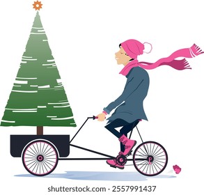 Christmas, New Year day. Woman with a fir rides a bike. Smiling girl in warm cloth transports a fir on the bicycle. Isolated on white background	