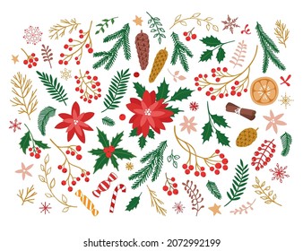 Christmas and New Year decor elements set. Floral elements, fir tree, holly, pine cone, berries, sweets, orange, cinnamon, snowflakes. Vector illustration.