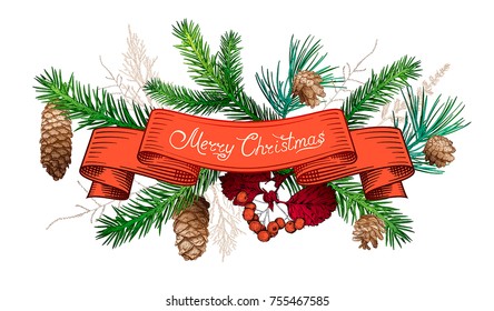 Christmas and New Year decoration with ribbon, different branches and cones. Fir tree, cedar, pine, arborvitae, hawthorn. Hand drawn sketch. Design for greeting cards, calendars, banners, invitations.