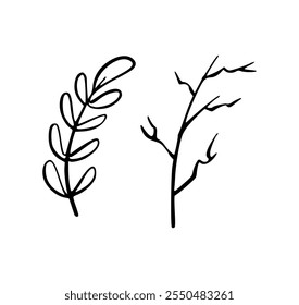 Christmas and New Year doodle icons set. winter branches in sketch style. Hand drawn vector illustration isolated on white background