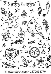  Christmas and New Year elements with cardinal birds, cookie men, xmas lights, hot cocoa and marshmallow, candies and bell. Hand drawn doodle Vector illustration.