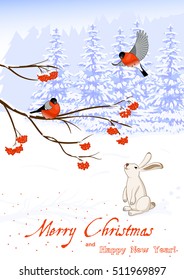 Christmas and New Year Greeting Card with Bullfinch Birds on a Rowan Tree Branch and White Hare collect berries in winter forest. Vector illustration