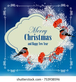 Christmas and New Year greeting card with bullfinches, pine branches and rowan berries