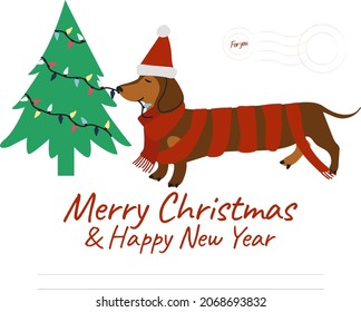 Christmas and New Year greeting postcard with holiday dachshund, Christmas card with cute dachshund in Santa hat and knitted scarf Holiday background with hand drawn cartoon character, lights, garland