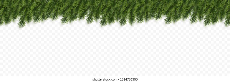 Christmas or New Year header background. Christmas fir-tree Branches on transparent bakground. Holiday's background. Vector illustration.