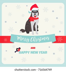 Christmas Or New Year Holiday Background With Funny Husky