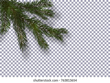 Christmas, New Year. Realistic green tree branch and its shadow. Against the background of the checkered. vector illustration