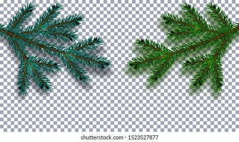 Christmas, New Year. Realistic Christmas tree branch in blue and green on a transparent background with shadow. Cards, business cards, invitations. Vector illustration