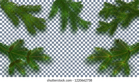 Christmas, New Year. Set Realistic green tree branch and its shadow. Against the background of the checkered. vector illustration