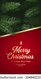 Christmas   New Year Vector Greeting Card Poster  Pine Branches Background and Text Copy Space   Typography  Winter Holidays Stories Decoration Template 