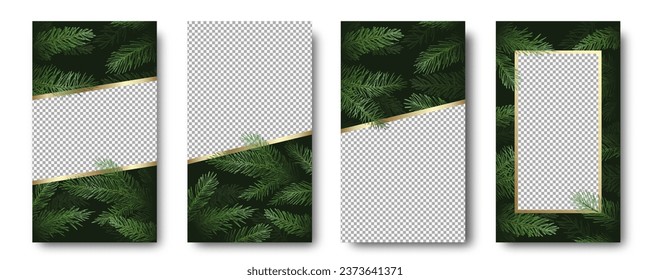 Christmas and New Year Vector Greeting Cards Posters Set. Pine Branches Background with Copy Space Picture Places. Winter Holidays Social Networks Decorative Stories Templates Collection