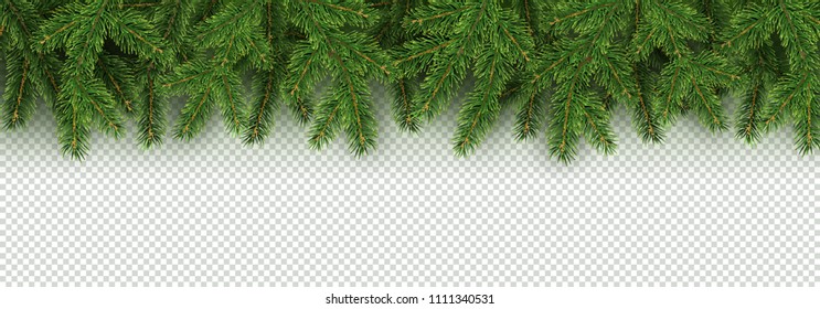 Christmas, New Year, Winter border with realistic branches of Christmas tree Xmas element for festive design isolated on transparent background Vector illustration