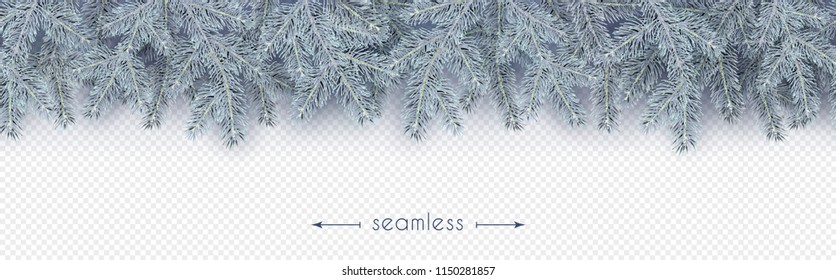 Christmas, New Year, Winter border with realistic branches of Christmas tree in the frost Light blue Xmas element for festive design isolated on transparent background Vector illustration