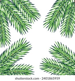 Christmas, New Year, Winter border with branches of Christmas tree. Xmas element for festive design isolated on white background. Vector illustration.