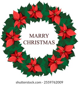 Christmas and New Year wreath made of red poinsettia. Vector illustration