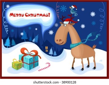 christmas night
