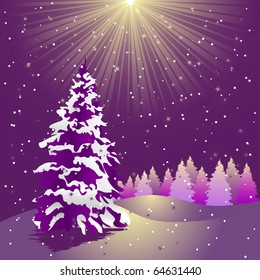 Christmas night