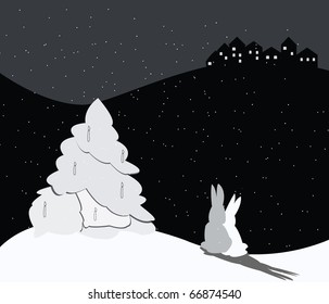 Christmas Night in Forest