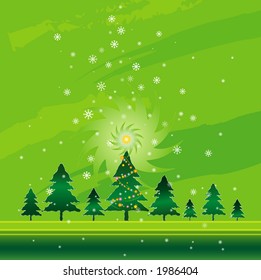 Christmas night in the pine forest
