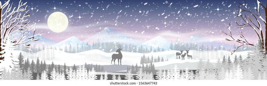 Christmas night with snowdrifts, blizzard, firs and pine tree forest, Winter landscape scene of  reindeers family standing in forest with storm, windy and heavy snowfall with full moon background.