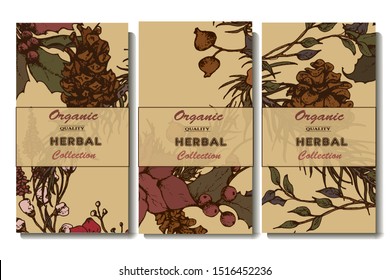 Christmas party vector invitation, with hand drawn flowers and cone