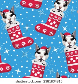 Christmas pattern with cats in stockings. Kiten head in stocking, seamless pattern. Repeatable textile, wrapping paper, blue background, bright color. Winter wallpaper with snowflakes and stockings.