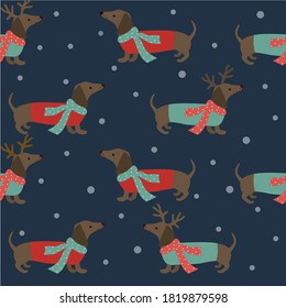 Christmas pattern with dachshund dogs with scarfs and snowflakes. Vector illustration.   