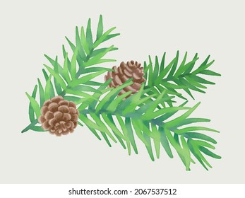 Christmas pattern drawing watercolor. Vector isolated spruce and cones.