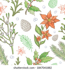 Christmas pattern. Winter plant seamless vector background. Vintage holiday floral wallpaper with pine tree, mistletoe branch, pinecone, leaf, holly berry, flower. Sketch engraved xmas illustration