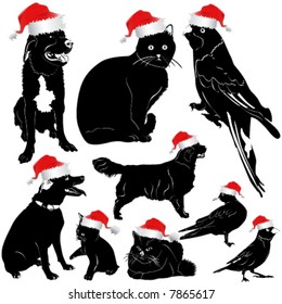 christmas pet animal (dog, cat, bird)