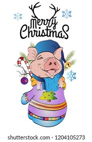 Christmas and Christmas pig