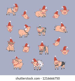 Christmas pig animals vector illustrations, new year set