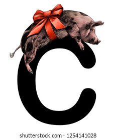 Christmas pig with bow on the torso lies on the letter C part of the word Christmas, sketch vector graphics color illustration on white background