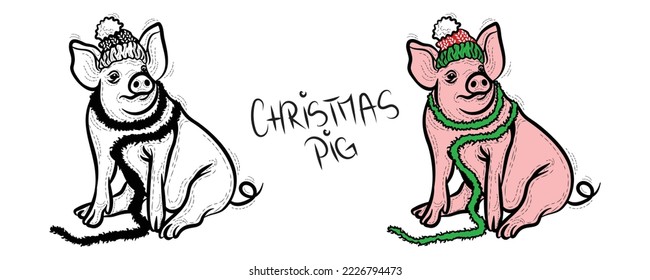 Christmas Pig Hand Draw vector isolated illustration. Winter Holiday love and joy with cute farm domestic animal. 