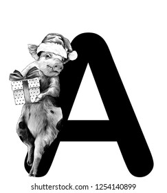 Christmas pig in a hat and with a gift box is leaning on the letter A part of the word Christmas, sketch vector graphics monochrome illustration on a white background