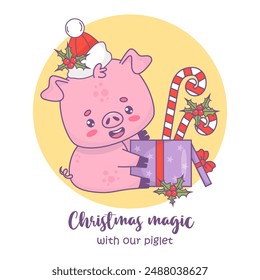 Christmas pig in santa hat with gift box with festive striped candy cane with holly. Vector illustration. Holiday card with funny cartoon winter animal character with cool slogan. Kids collection