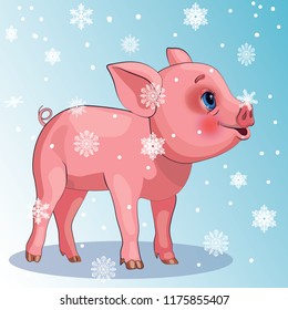 Christmas pig and snowflakes, vector illustration for the new 2019.