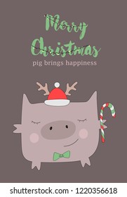 Christmas pig. vector