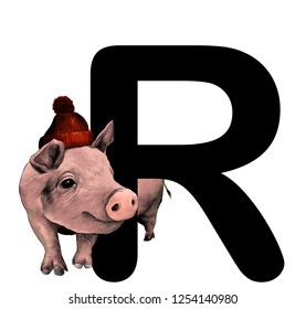 Christmas pig in warm hat with pompom Peeps out from behind the letter R part of the word Christmas, sketch vector graphic color illustration on white background