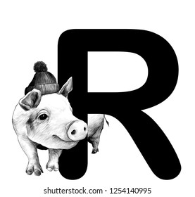 Christmas pig in a warm hat with a pompom Peeps out from behind the letter R part of the word Christmas, sketch vector graphics monochrome illustration on white background