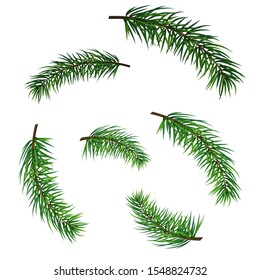 Christmas pine branch. Vector illustration. Set of green branches on an isolated background. For use in holiday card, banner, advertising, packaging, flyer. EPS10.
