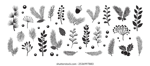 Christmas pine cone, fir tree, branch needle, leaf. Winter sprig, holly berry, Xmas spruce, mistletoe, evergreen cedar, black twig hand drawn isolated on white background. Nature vector illustration