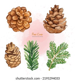 Christmas Pine cone set, Digital paint watercolor illustration
