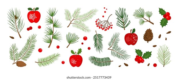 Weihnachtskiefer, Baum, Tanne, Mistel, Holly Beere, Blattzweig, Winterfrühling, Apfel, Weihnachtsimmergrün Dekor, Laub Set einzeln auf weißem Hintergrund. Vektorgrafik der Feiertage-Natur